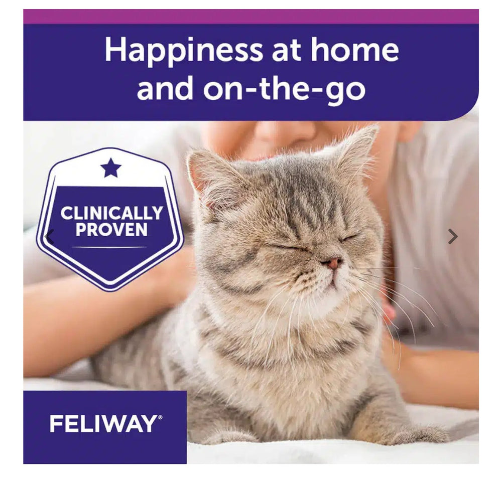Feliway Spray 60ml bottle with its purple and white retail packaging box, displayed on a clean white background.