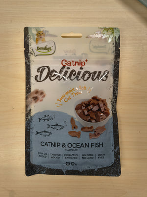 Dentalight Delicious Catnip Fish Cat Treat 50g