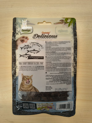 Dentalight Delicious Catnip Fish Cat Treat 50g