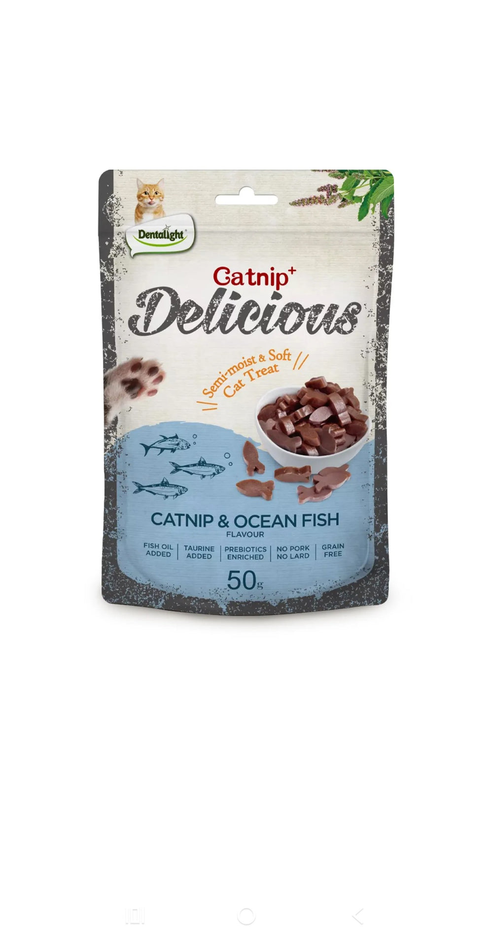 Dentalight Delicious Catnip Fish Cat Treat 50g