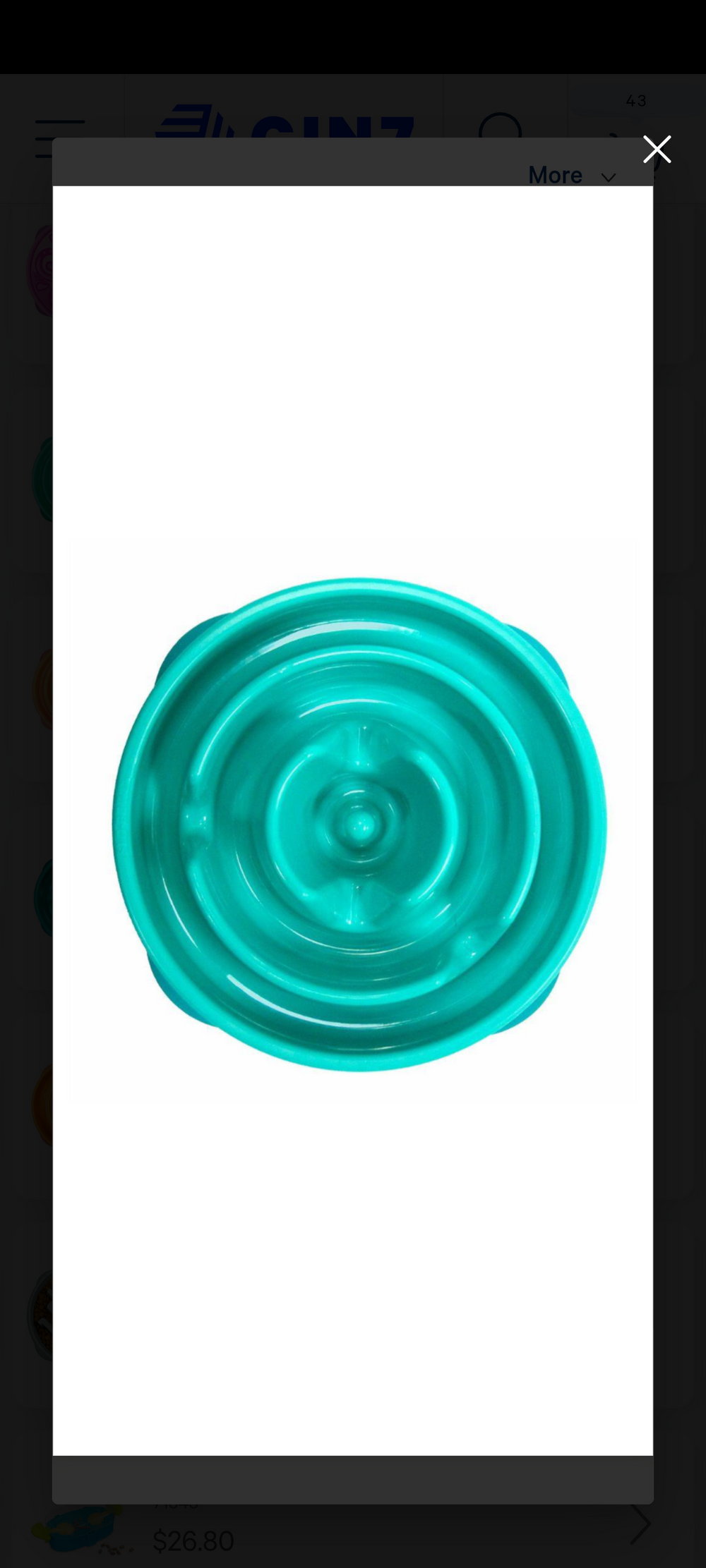 Outward Hound Fun Feeder Mini Slow Feeder Dog Bowl - Teal