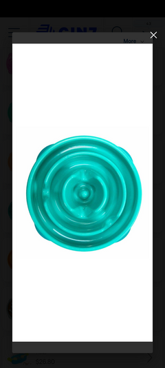 Outward Hound Fun Feeder Mini Slow Feeder Dog Bowl - Teal