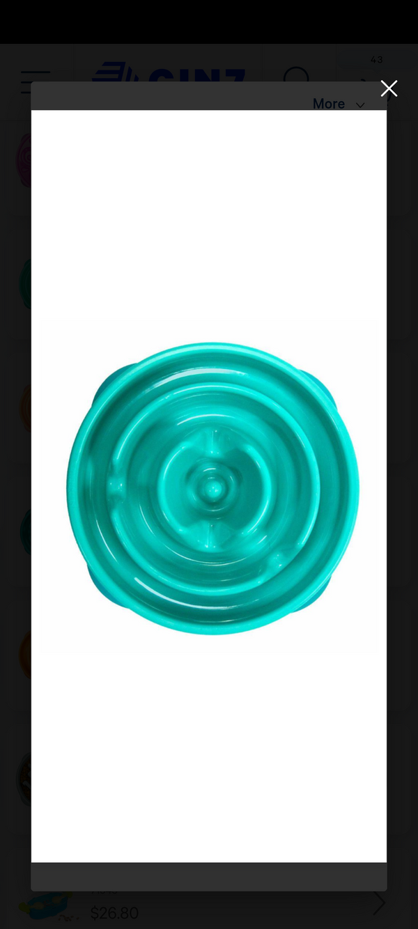 Outward Hound Fun Feeder Mini Slow Feeder Dog Bowl - Teal