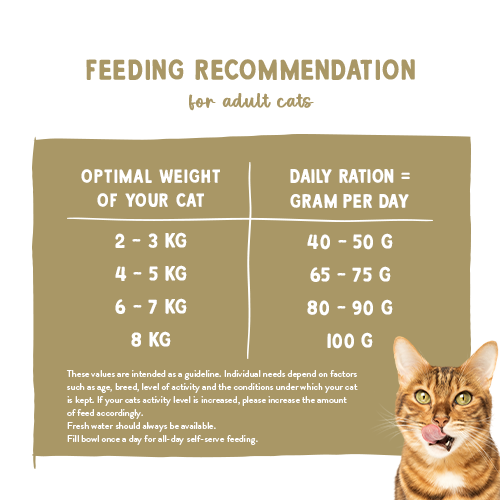 Sanabelle Care Hair &amp; Skin Dry Cat Food