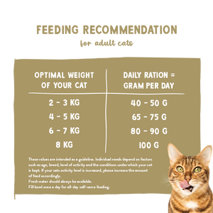 Sanabelle Care Hair &amp; Skin Dry Cat Food
