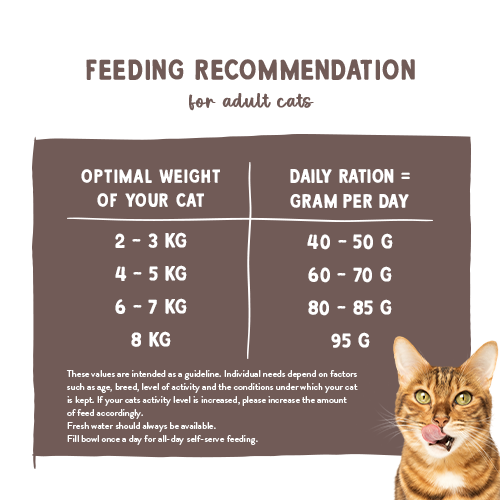 Sanabelle Life Sensitive with lamb &amp; blueberries Dry Cat Food
