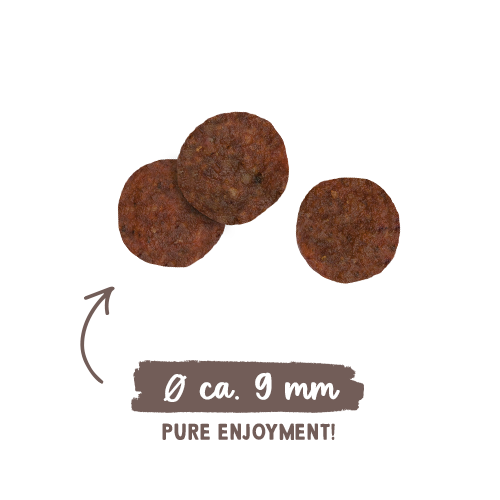 Sanabelle Life Sensitive with lamb &amp; blueberries Dry Cat Food