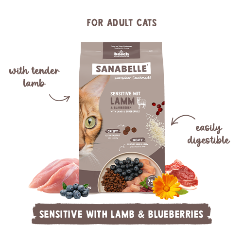 Sanabelle cat food package for adult cats with lamb and blueberries on a white background