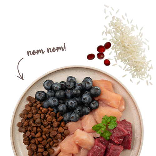 Sanabelle Life Sensitive with lamb &amp; blueberries Dry Cat Food