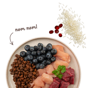 Sanabelle Life Sensitive with lamb &amp; blueberries Dry Cat Food