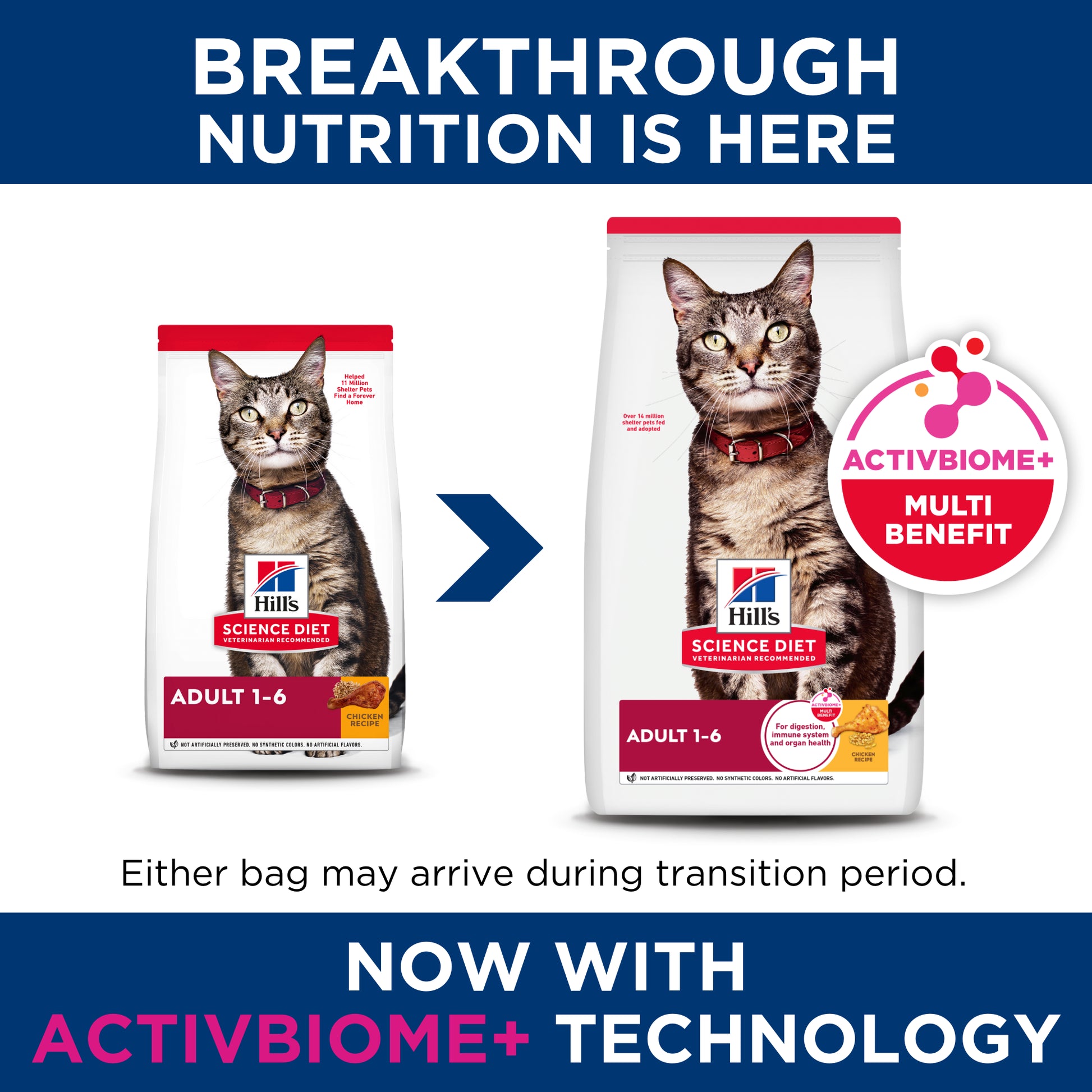 Hill's Science Diet Adult Cat Food