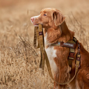 EzyDog Vario 4 Multi-Function Dog Leash - Premium Adjustable Lead with Soft Touch Webbing
