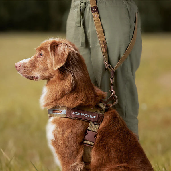 EzyDog Vario 4 Multi-Function Dog Leash - Premium Adjustable Lead with Soft Touch Webbing