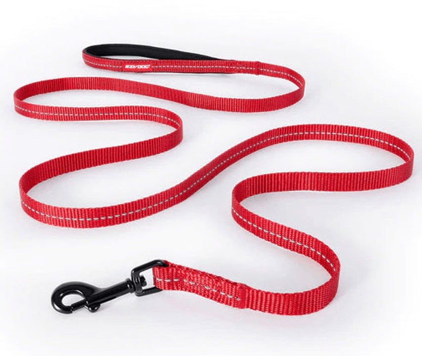 Ezy Dog  Leash
